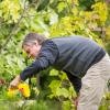 Ecostyle moestuinieren - bemesten en beschermen van moestuin