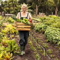 Het moestuinseizoen is nog niet voorbij