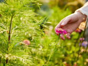 Wat is de ideale locatie voor een bloemenweide?