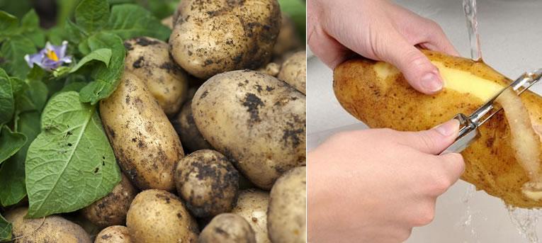 Denken Zeug Precies Vijf verschillende soorten aardappelen op een rij