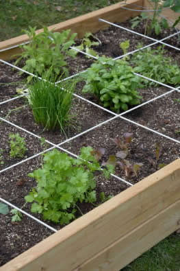 Een vierkantemetertuin bouwpakket of zelf een vierkante tuin