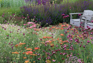 Genieten van planten