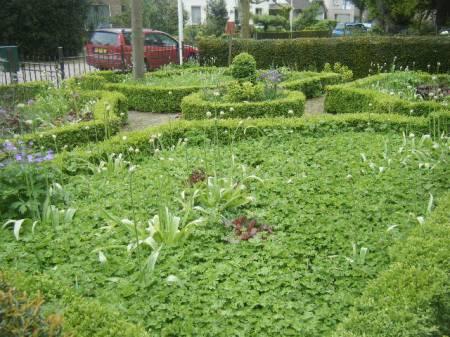 Foto's van uw Tuin