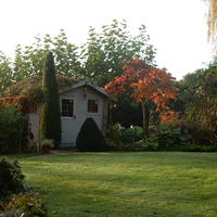 Herfst in de tuin