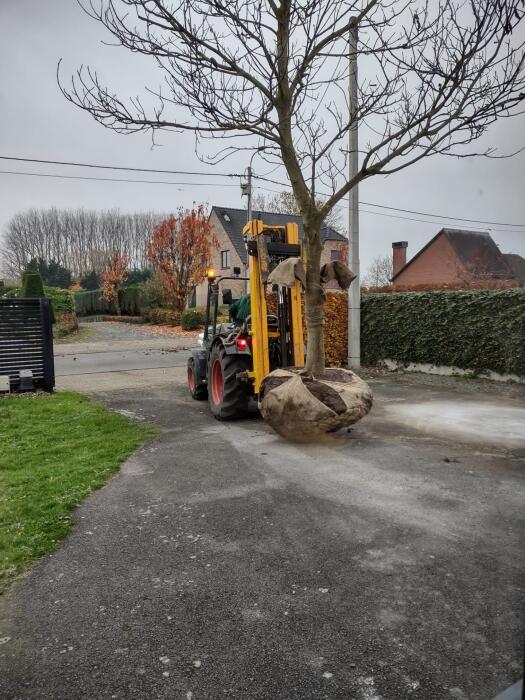 Struiken & Bomen