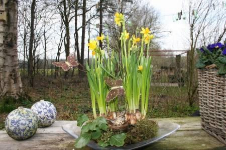 Bloemschikken, Creatief in de Tuin