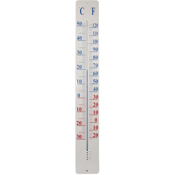 lening in verlegenheid gebracht Bekwaamheid Thermometer op wandplaat - 90cm - Webshop - Tuinadvies