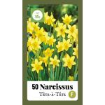 Narcis Tête à tête - netje (50 stuks)