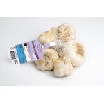 Pootgoed knoflook Messidrome – 500 gram