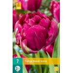 Tulipa Royal Acres (7 stuks)