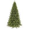 Triumph Tree kerstboom Slim Forest Frosted groen - 120 cm