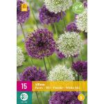 Allium paars/wit mix - sierui (15 stuks)