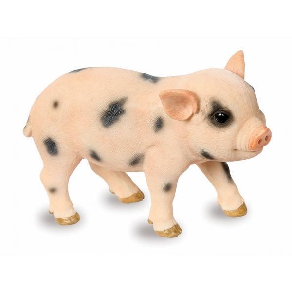 Rubber Alstublieft Aziatisch Beeldje varken kopen - varkenbeeldje | Dierenbeelden | Tuinbeelden |  Decoratie en sfeer | Tuinadvies