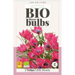 Bio Tulp 'Little Beauty' - bio flowerbulbs