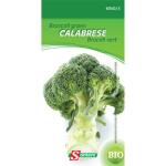 Broccoli Calabrese - groen BIO