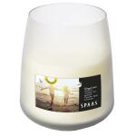 Spaas citronellakaars Soft Glow - Ginger Love