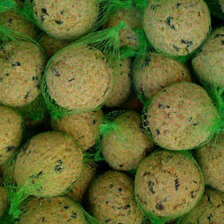 grijs Welsprekend Protestant Doos met 100 mezenbollen - vetbollen kopen online