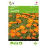 Goudsbloem Balls Orange - Calendula officinalis flore pleno