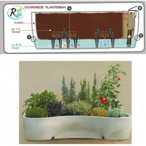 buste Cokes Lijken Luxe mobiele plantenbak met waterreservoir kopen | Kweektafels en  groeibedden | Kweeksystemen | Planten opkweken | Tuinadvies