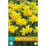 Narcissus Tête-à-Tête - botanische narcis (5 stuks)