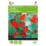 Oost-Indische kers Empress of India - Tropaeolum majus nanum