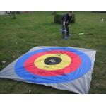 Reuze frisbee spel