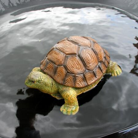 Beeld schildpad