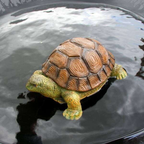 Beeld een schildpad | | Decoratie - overige | en | Tuinadvies