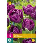 Tulipa Double Lilac (15 stuks)