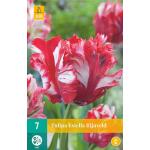 Tulipa Estella Rijnveld - parkiet tulp (7 stuks)