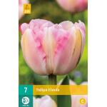 Tulipa Finola - Dubbel laat