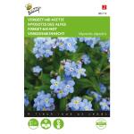 Vergeet-me-nietje blauw - Myosotis alpestris