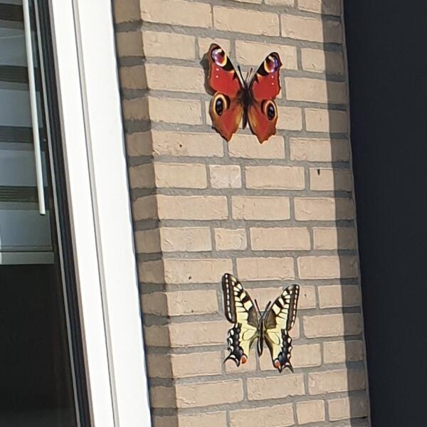 Muurdecoratie vlinders - aan de muur | Wanddecoratie met | Wanddecoratie | Decoratie en sfeer | Tuinadvies